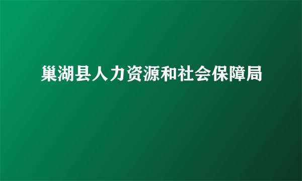 巢湖县人力资源和社会保障局