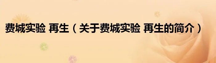 费城实验 再生（关于费城实验 再生的简介）