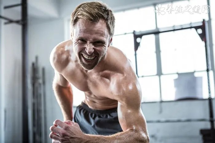 枸杞茶的价格应该是多少