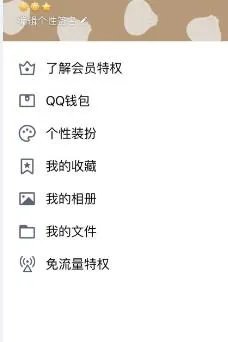qq怎么进去道聚城