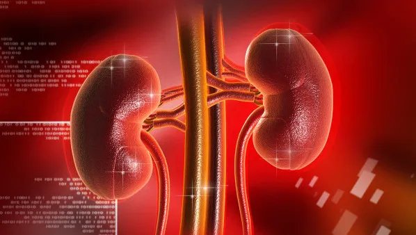 肾衰竭怎么治疗