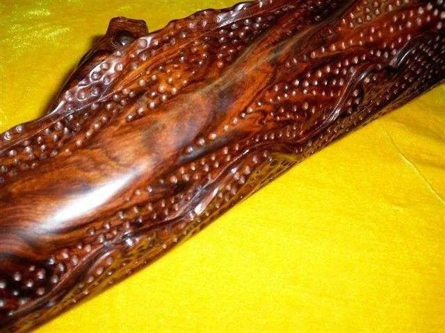 什么是真正的海黄？