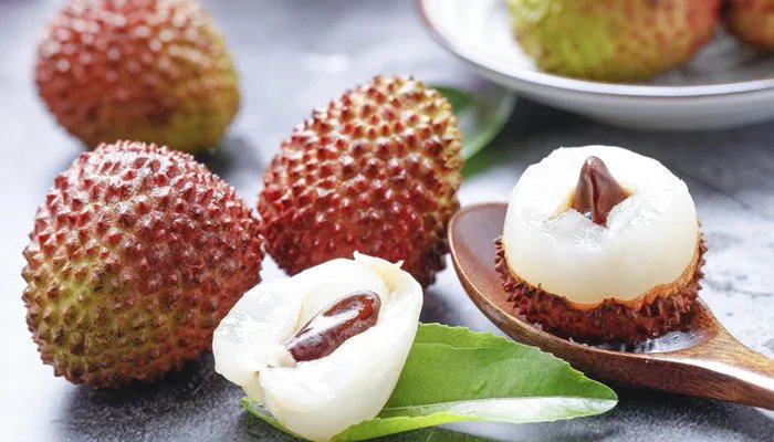 日啖荔枝三百颗，不辞长作岭南人啖的意思是什么