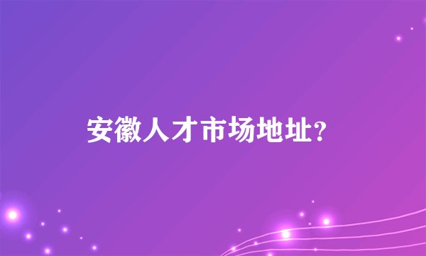 安徽人才市场地址？