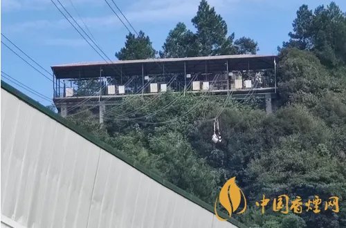 重庆回应女子玩高空项目坠落：坠落者为景区工作人员