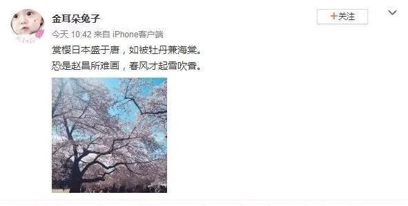 马蓉再次炫富,网友嘲讽她沾了宝强的光,马蓉是如何回应的?