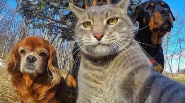 funny mud go pee翻译