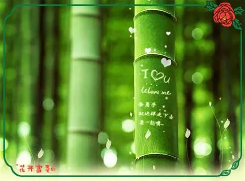 至尊打卡系统楚浩小说雪山白术全篇章阅读