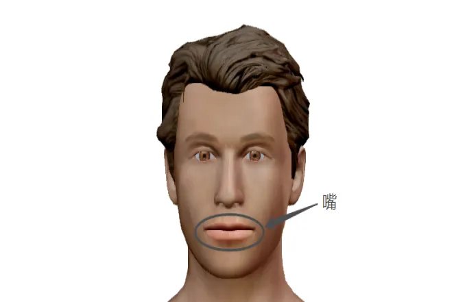 头部的各个部位详细图