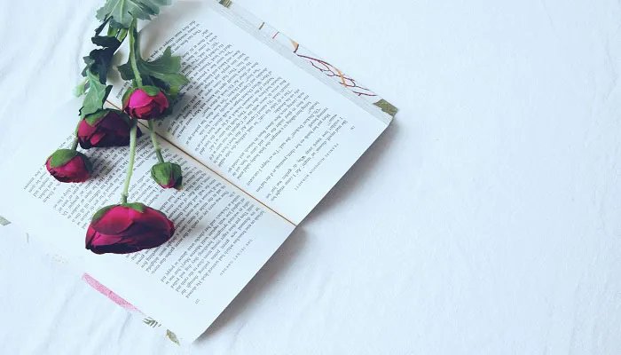 有关志向的名言 志向的名言名句