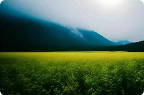 歌词“十个男人七个坏…八个傻…”，这应该是一首老歌了，忘了，歌名叫什么？