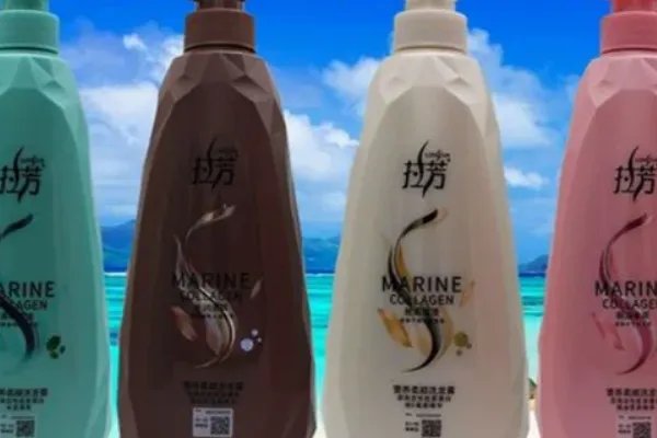 国内洗发水十大排行榜