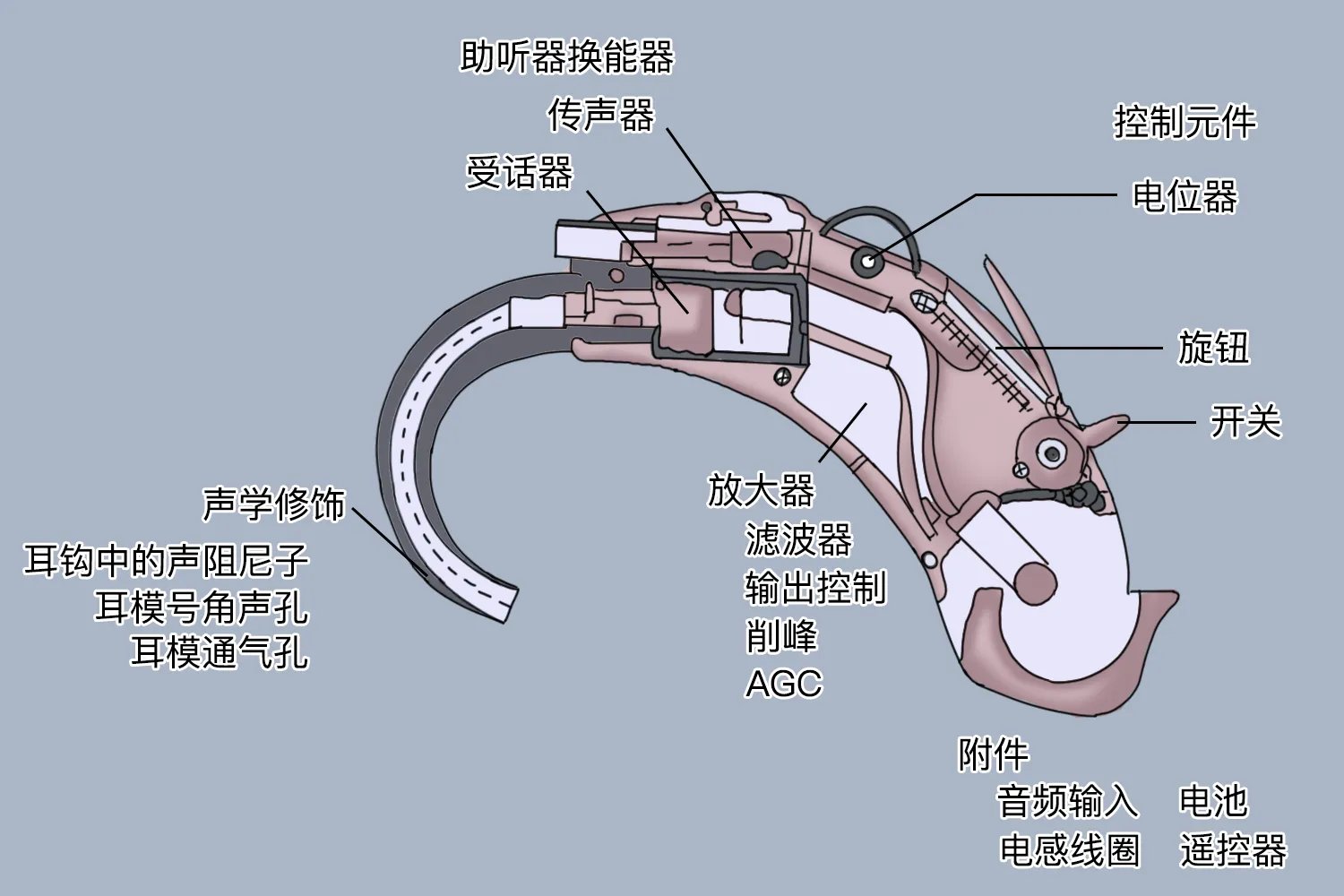 耳背式助听器结构图