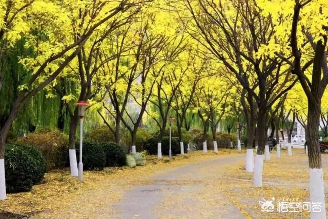 位于淄博的山东理工大学好不好，是一所什么档次的大学？