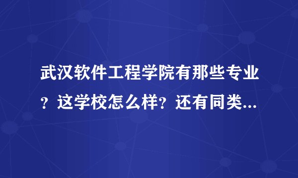 武汉软件工程学院有那些专业？这学校怎么样？还有同类更好的学校吗？我是技能高考计算机毕业的A等