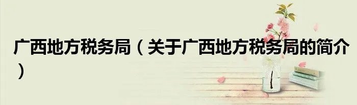 广西地方税务局（关于广西地方税务局的简介）