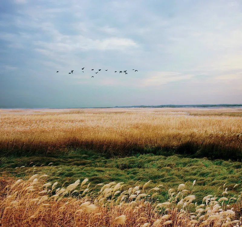 鄱阳湖在哪个省？鄱阳湖怎么读？