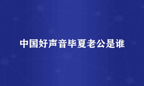 中国好声音毕夏老公是谁
