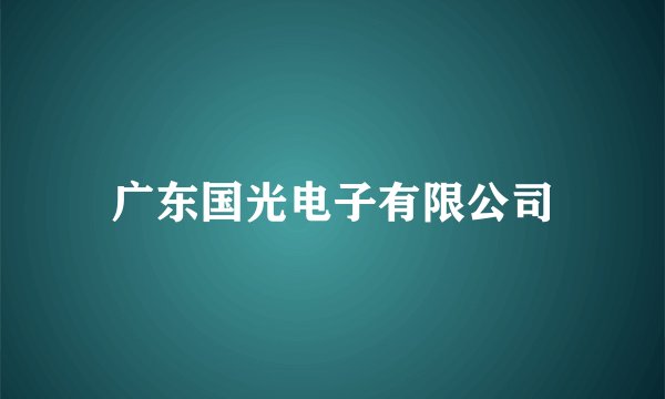 广东国光电子有限公司