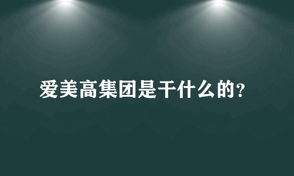 爱美高集团是干什么的？