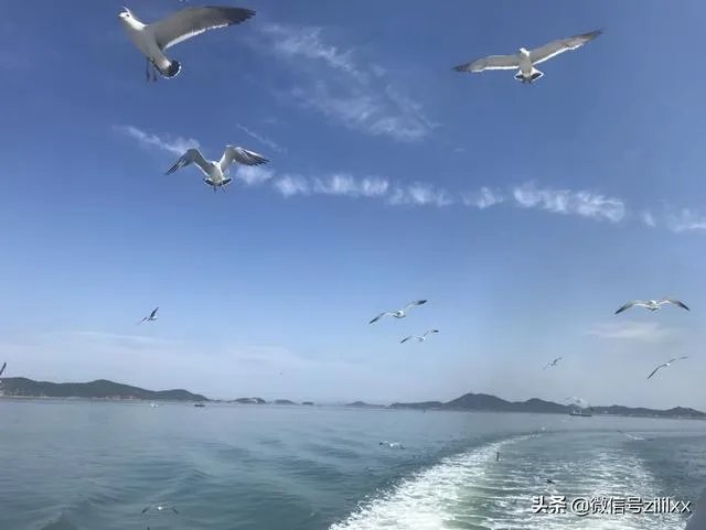 打算去山东长岛玩,有哪些经济实惠的渔家乐可推荐的?