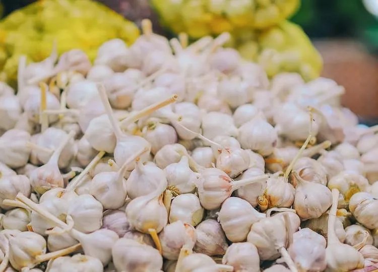 大蒜的功效与作用