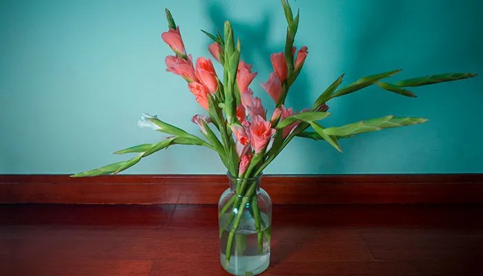 中秋节送什么花 中秋送花有讲究吗