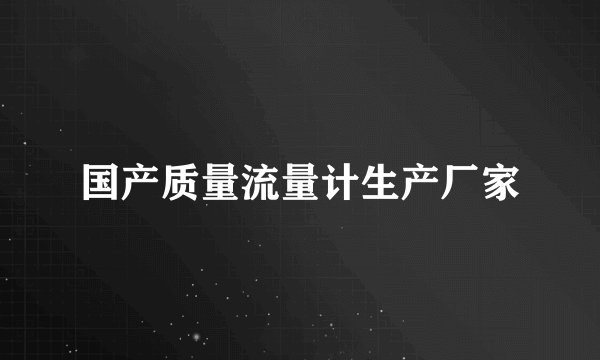 国产质量流量计生产厂家