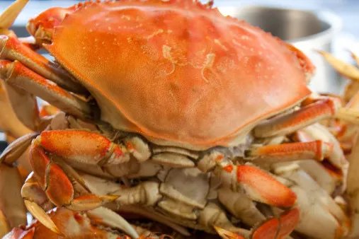 螃蟹的功效与作用