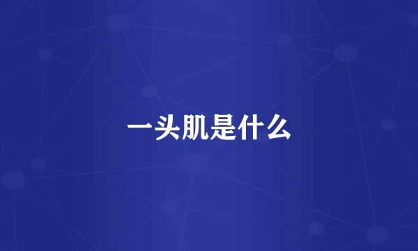 一头肌是什么