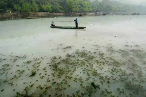 塑料袋和纸袋哪个更环保？