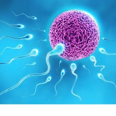 宫外孕前期会有什么症状