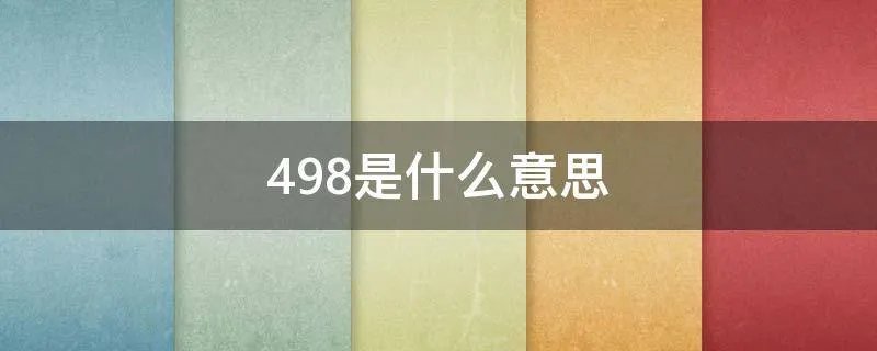 498是什么意思
