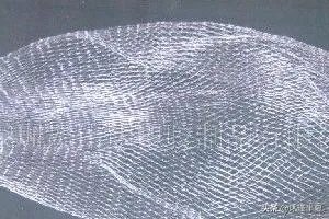 下水道反味儿有什么解决方法?