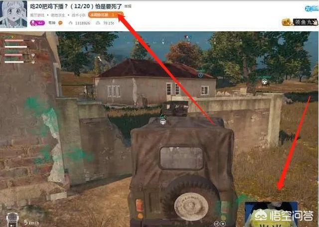 如何看待4AM战队？