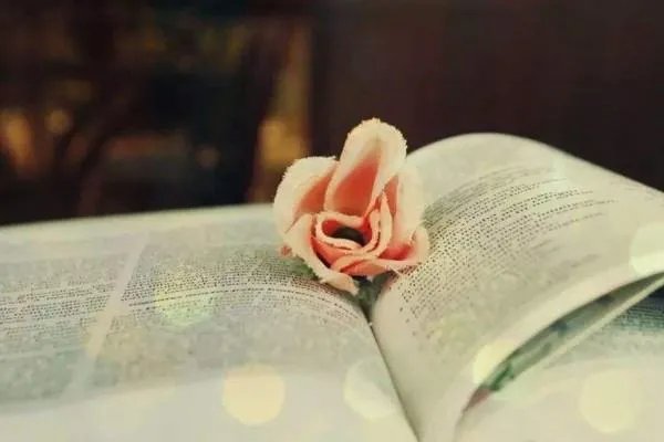 余尝谓读书有三到,谓心到、眼到、口到的意思？