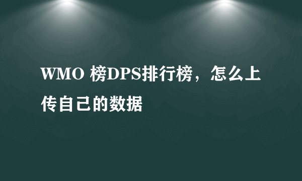 WMO 榜DPS排行榜，怎么上传自己的数据