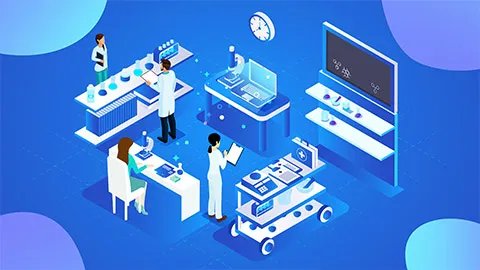 红参怎么吃效果最好