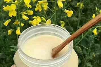 油菜花蜜的功效与作用