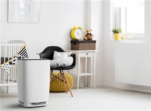 装修除味的技巧有哪些