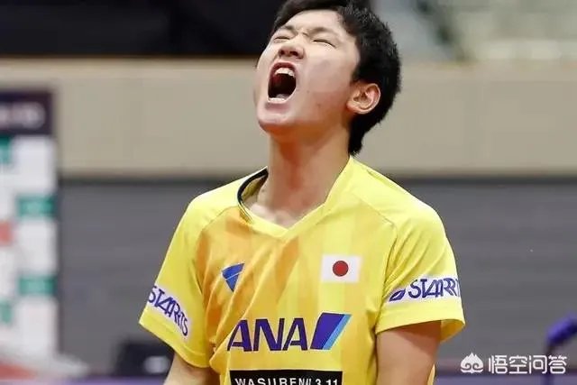 樊振东4:1逆转张本智和晋级2019年亚洲杯男单决赛，如何评价本场比赛双方的表现？