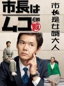 市长是女婿大人的相关资料