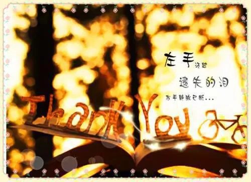 杨毅篮球运动小说主角杨毅无广告阅读