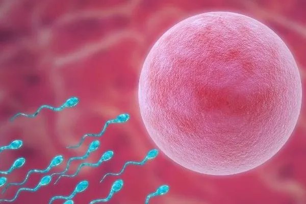 郑州怀八胞胎女子年仅18岁，事件的背后有着怎样的故事？