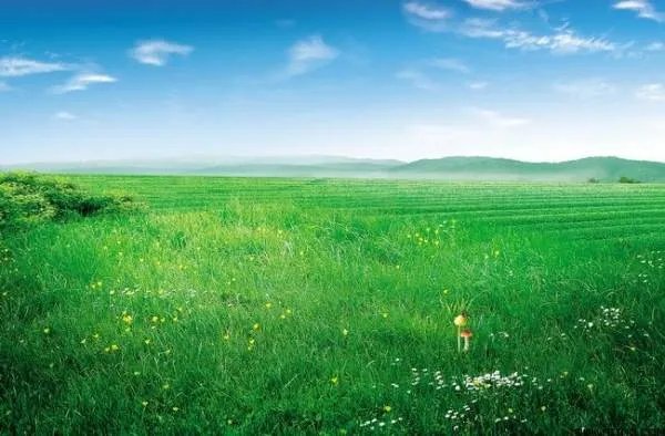 辽阔无垠的意思