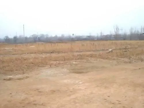 买地皮是永久的吗