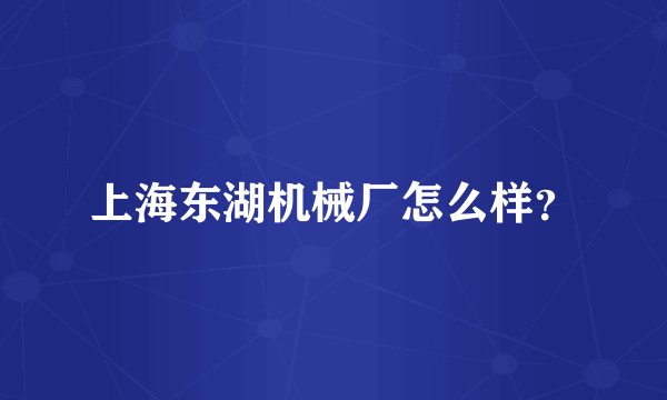 上海东湖机械厂怎么样？