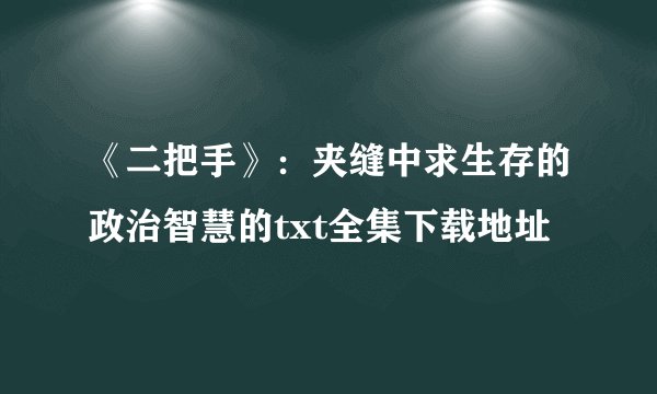《二把手》：夹缝中求生存的政治智慧的txt全集下载地址