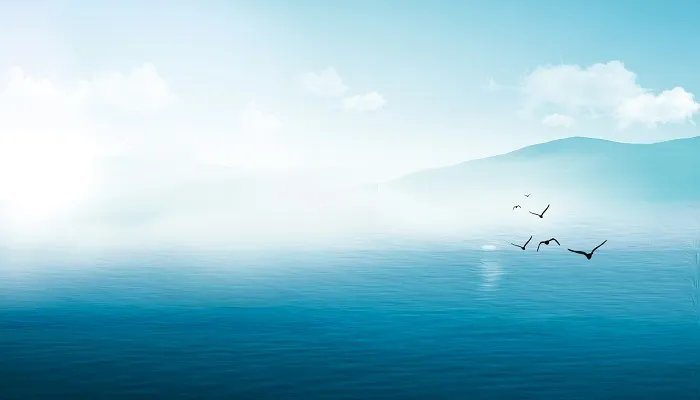 浪淘沙北戴河赏析