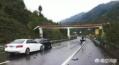 如何评价3辆豪车高速避让流浪狗，致连环车祸损失十多万？